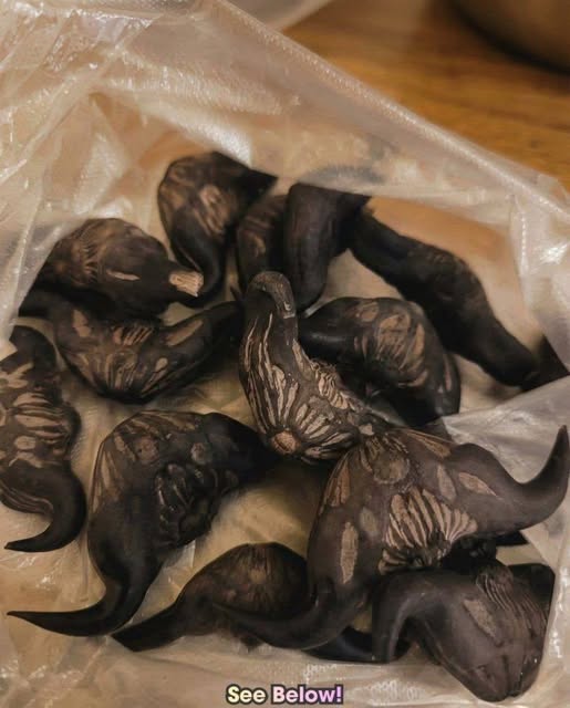 667313354 2406384989840035 7219127620616958229 n