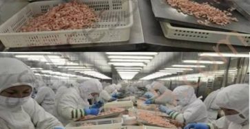 667337630 122256878318181557 11005078644553951 n