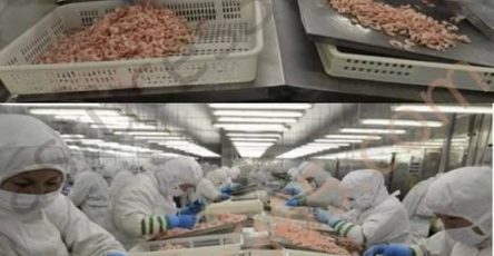 667337630 122256878318181557 11005078644553951 n