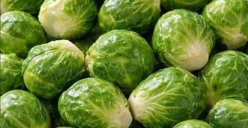 668237985 904650119243297 4924088960499211973 n