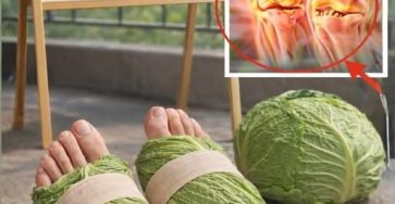 668338574 122155869158642850 3971127954318870062 n