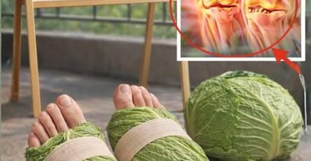 668338574 122155869158642850 3971127954318870062 n