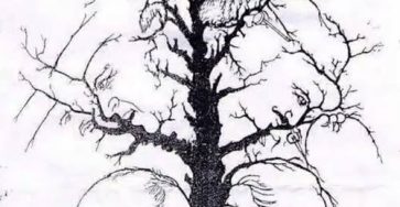 668517908 927435790003885 1579157266944168299 n