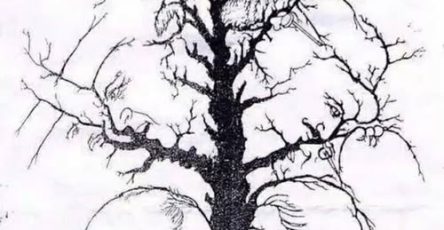 668517908 927435790003885 1579157266944168299 n