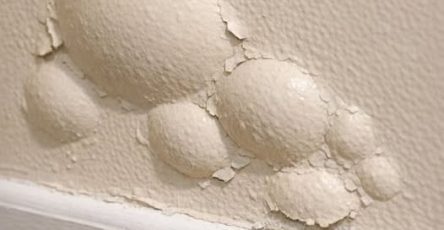 668551905 122106723471019387 8826698317418941664 n