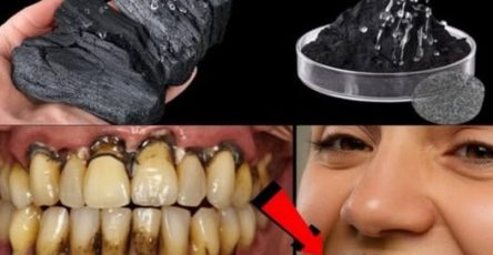 668577394 122106637401019387 882237627393490600 n