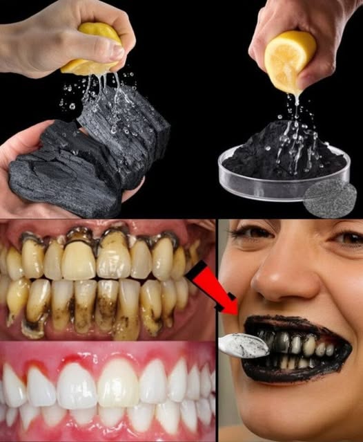 668577394 122106637401019387 882237627393490600 n