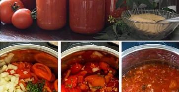 668605715 955360690784611 9196092869449820219 n