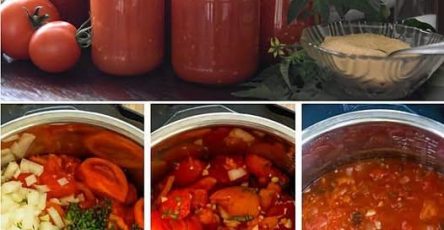 668605715 955360690784611 9196092869449820219 n