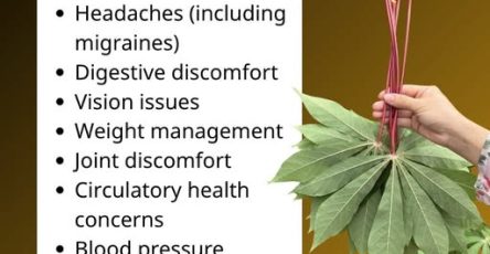 668792953 1285262780487687 4456063119653417244 n