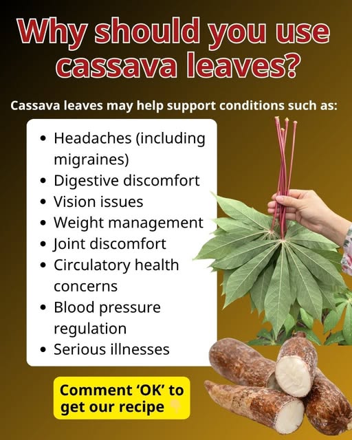 668792953 1285262780487687 4456063119653417244 n