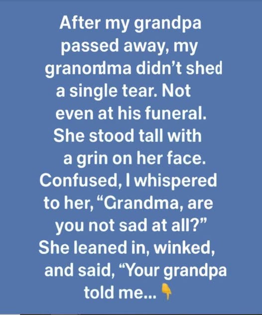 668817415 122107233333019387 1400985423686253313 n