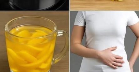 669031293 122155869428642850 6889837546646196087 n