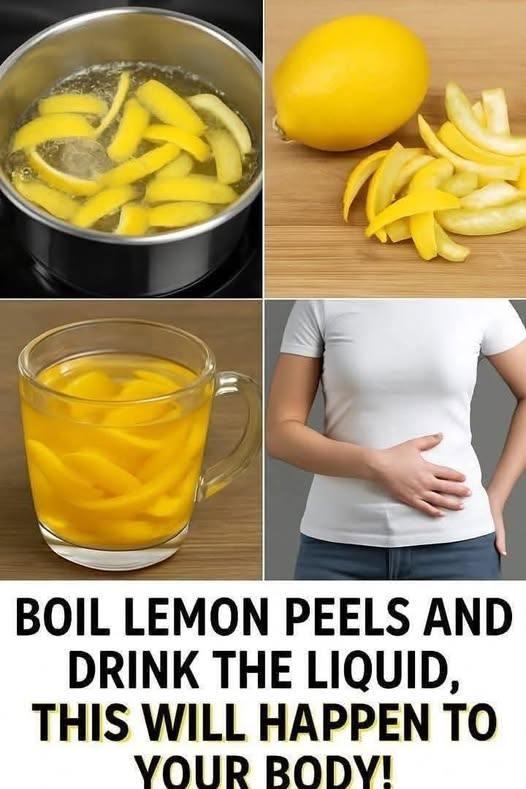 669031293 122155869428642850 6889837546646196087 n