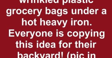 669072862 1882835542436069 6002858181079665711 n