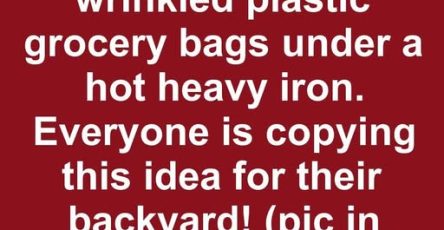 669072862 1882835542436069 6002858181079665711 n