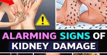 669335134 1285267340487231 8490551605286899246 n