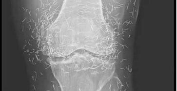 669606783 4412536559073847 4393366129876036260 n