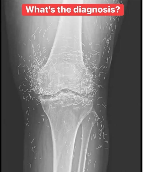 669606783 4412536559073847 4393366129876036260 n