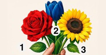 669652714 979414841429946 8025607788894105287 n