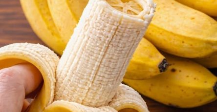 670293568 122106153434849583 3346941808740508710 n