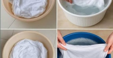 670355594 122108082092015785 523506473328626133 n