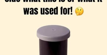 670430834 2410638922747975 7680317486526056944 n