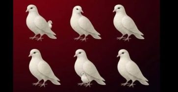 670491449 122107232247019387 8261501275569461001 n