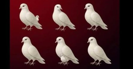 670491449 122107232247019387 8261501275569461001 n