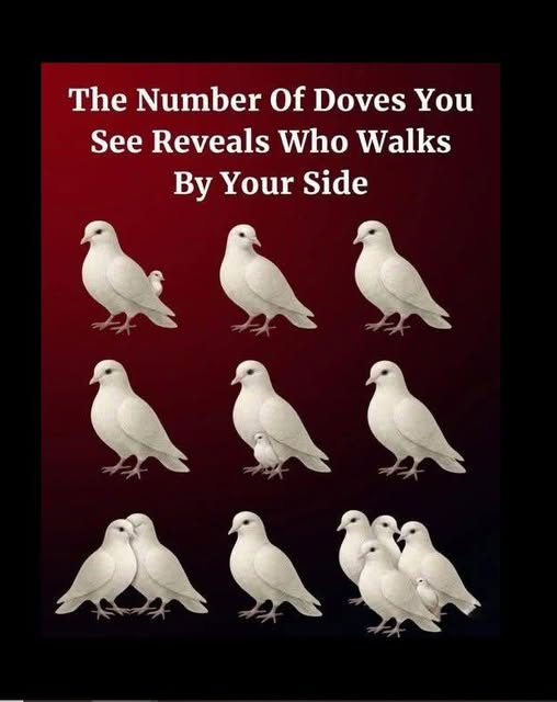 670491449 122107232247019387 8261501275569461001 n