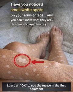 670633721 122103697454789064 191008712718950764 n