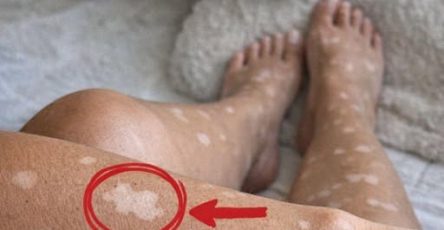 670633721 122103697454789064 191008712718950764 n