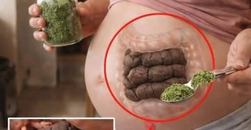 670866134 122099881718778090 5495099634222152100 n