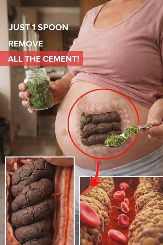 670866134 122099881718778090 5495099634222152100 n