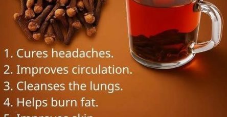 671161860 933214459426018 7713096622167783378 n