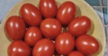 671161922 122094694370693094 8075073038851395262 n