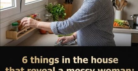 671396470 1287544810259484 7957062293350330991 n