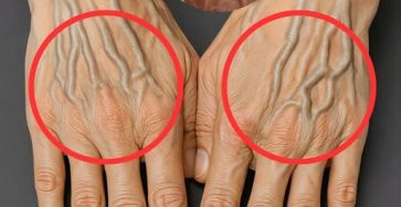 671482459 122107234569019387 8155268667402196688 n