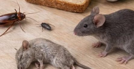 671547214 122103700616789064 3580241434261714398 n