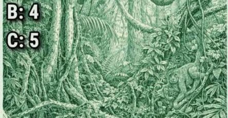 671759581 933182299429234 6454645195929759142 n