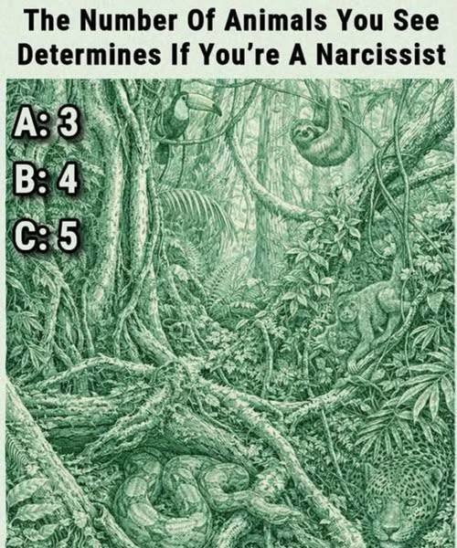 671759581 933182299429234 6454645195929759142 n