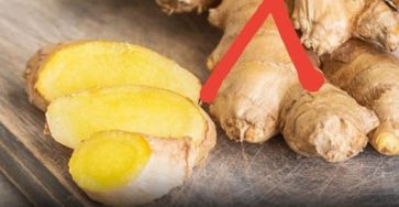 671855782 1287535333593765 1024342777129525332 n