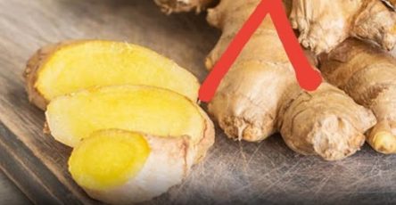 671855782 1287535333593765 1024342777129525332 n