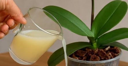 672149286 122099115500738131 797445631526549357 n