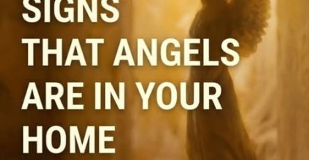 672246094 4293749287540315 5996811527289200223 n