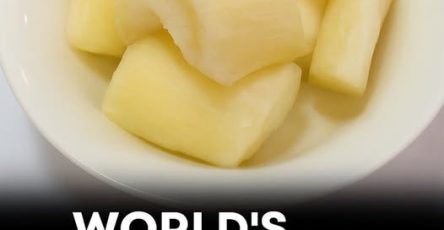 672672817 122108686304982906 6208996949772684387 n