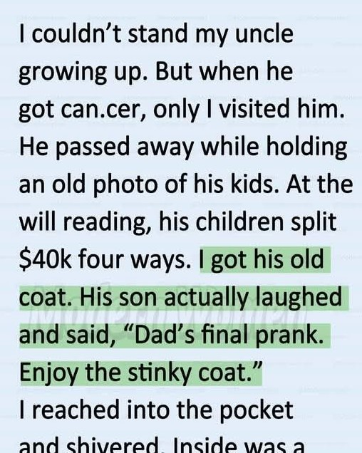 672675713 1732186471479811 5519146405382478750 n