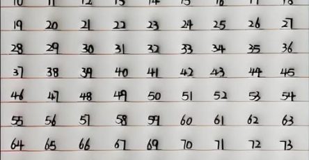 674119211 2863230074040993 8125300530102391407 n