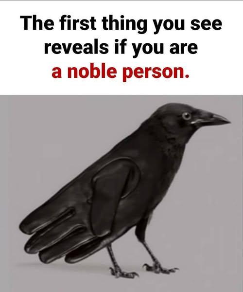 681176687 1698585834603937 8093148590091752586 n