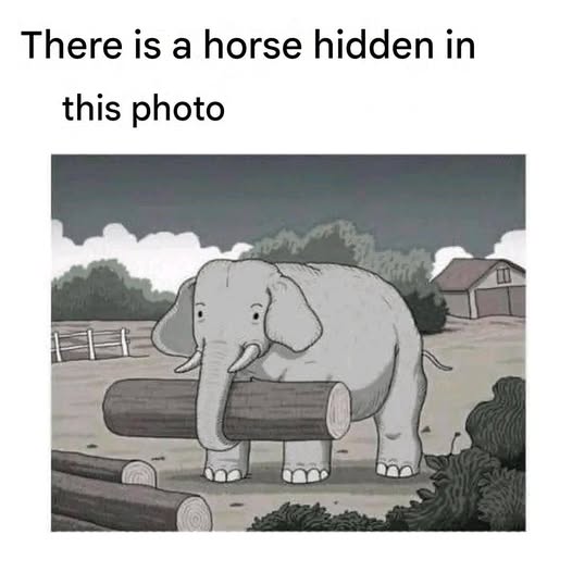 689010282 1728326745255922 1666996781586615236 n